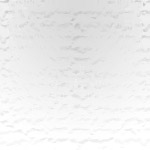 PELLICOLA IDROSOLUBILE H80 gr 50