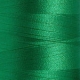 Viscosa Tit.40 col.1079