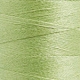 Lana/Acrilico Tit.12 col.3839